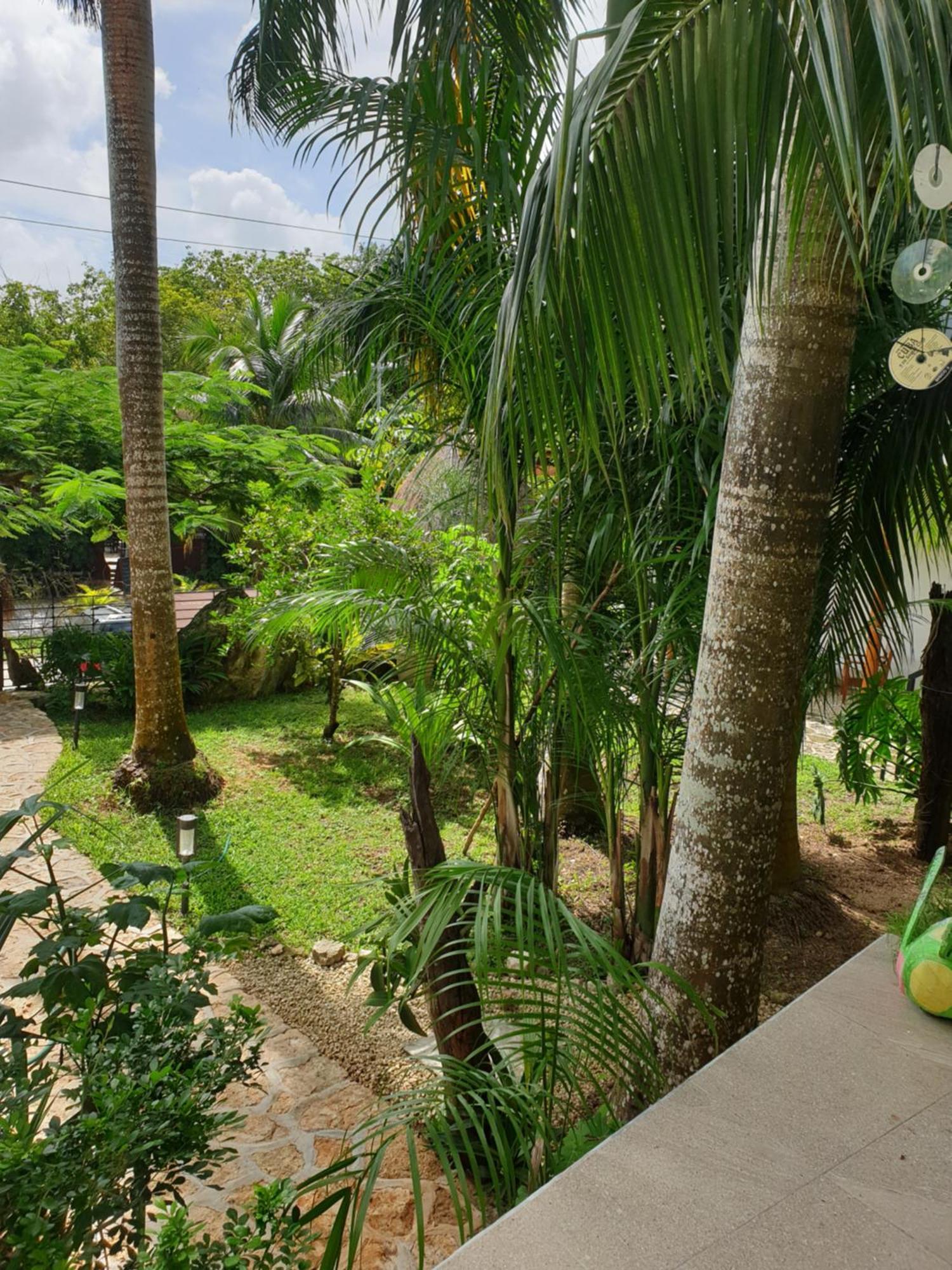 Camino Del Alma Apartments Bacalar Pokoj fotografie